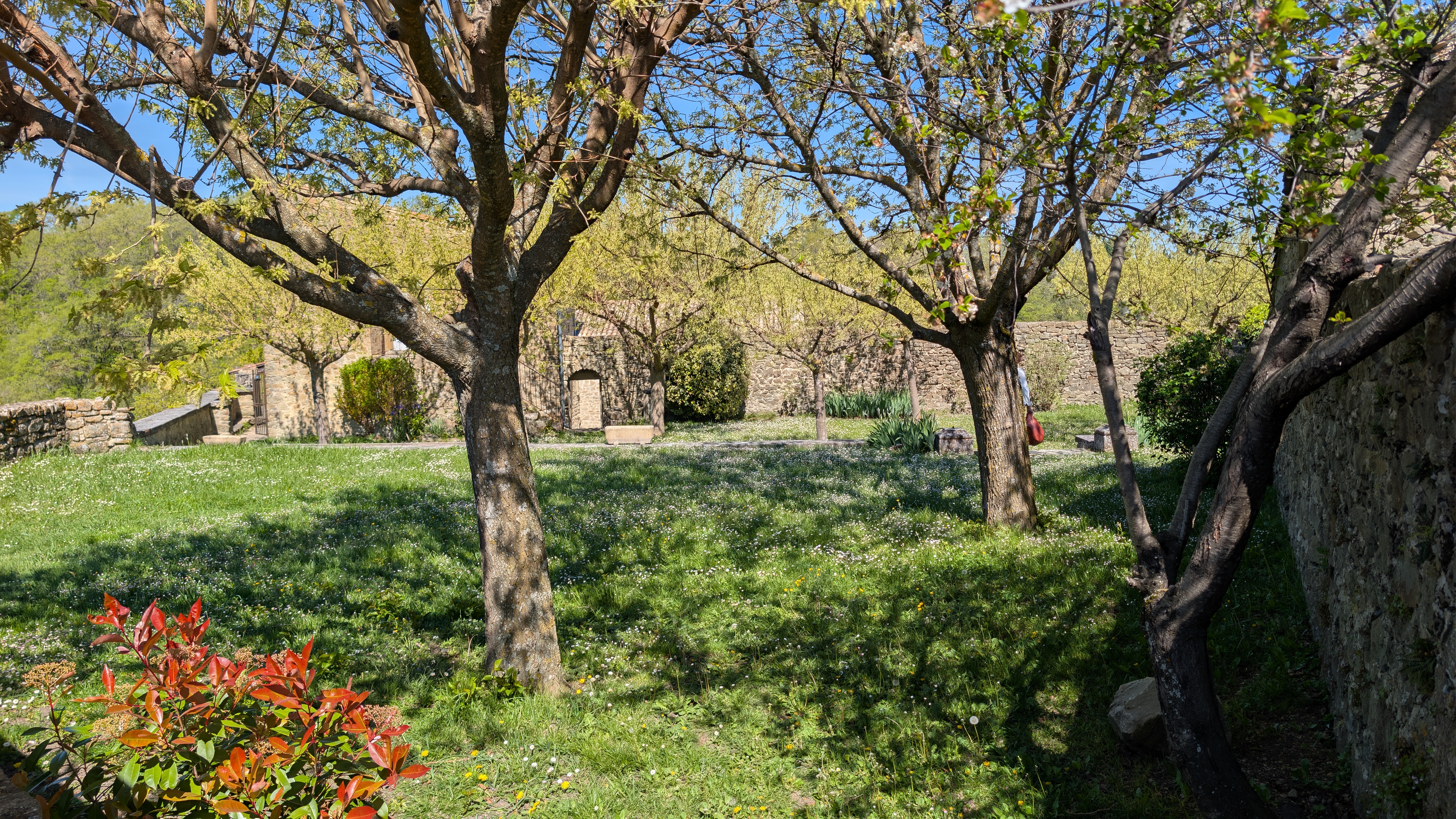 Le jardin intérieur du château